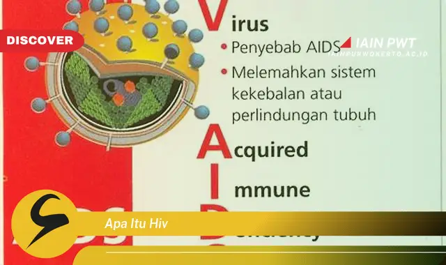 apa itu hiv