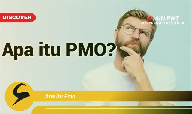 apa itu pmo