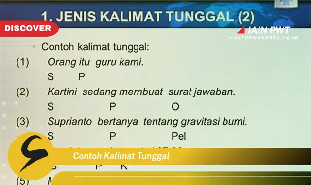 contoh kalimat tunggal