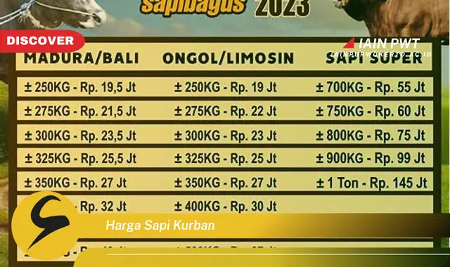 harga sapi kurban