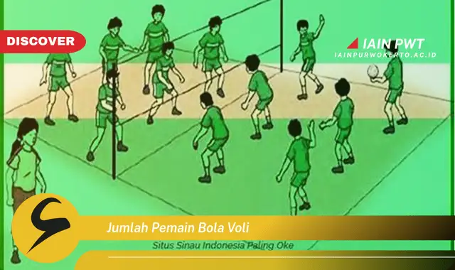 jumlah pemain bola voli