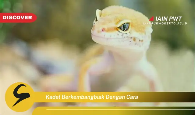 kadal berkembangbiak dengan cara