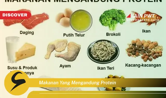 makanan yang mengandung protein