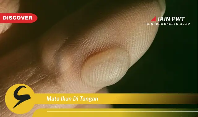 mata ikan di tangan