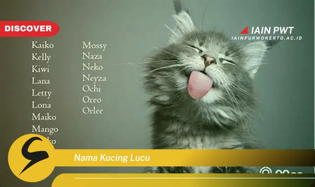 nama kucing lucu