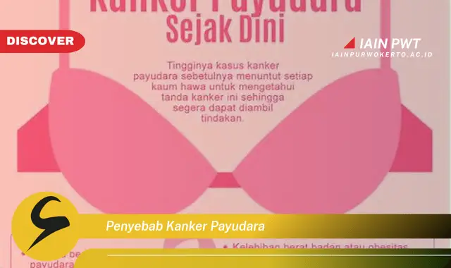 penyebab kanker payudara