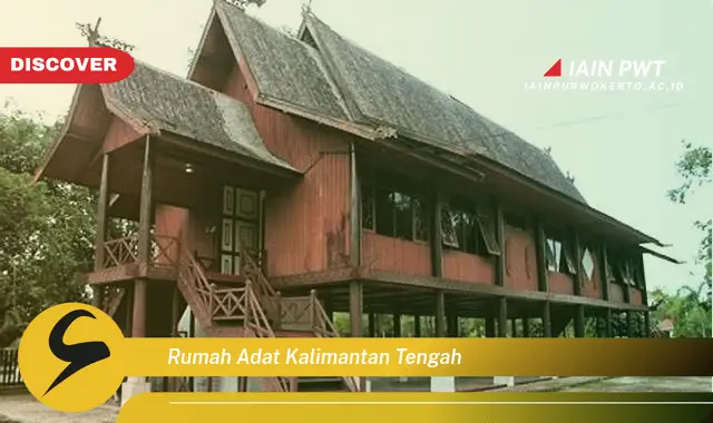 rumah adat kalimantan tengah