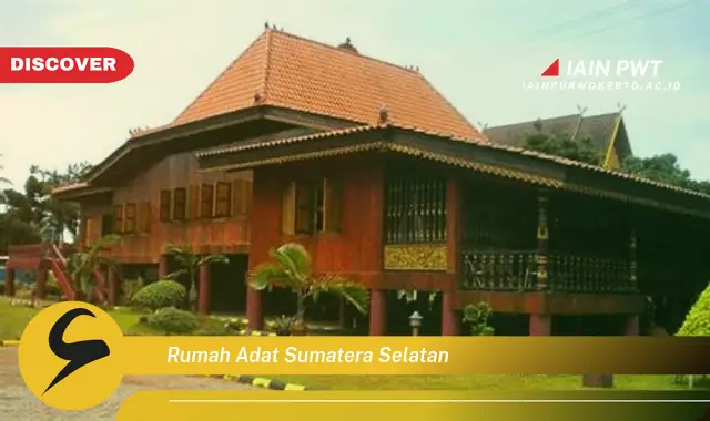 rumah adat sumatera selatan