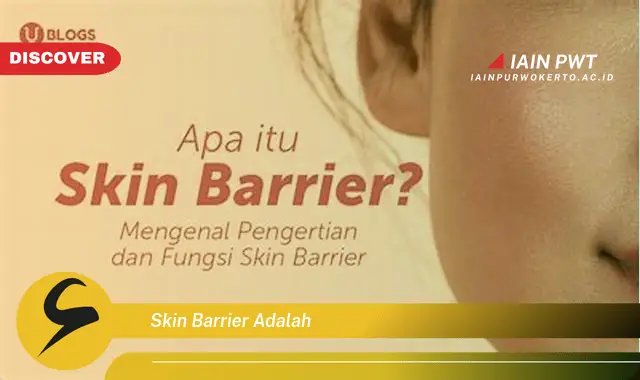 skin barrier adalah