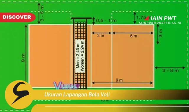 ukuran lapangan bola voli