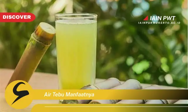 air tebu manfaatnya