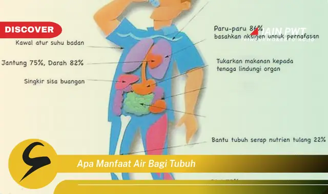 apa manfaat air bagi tubuh