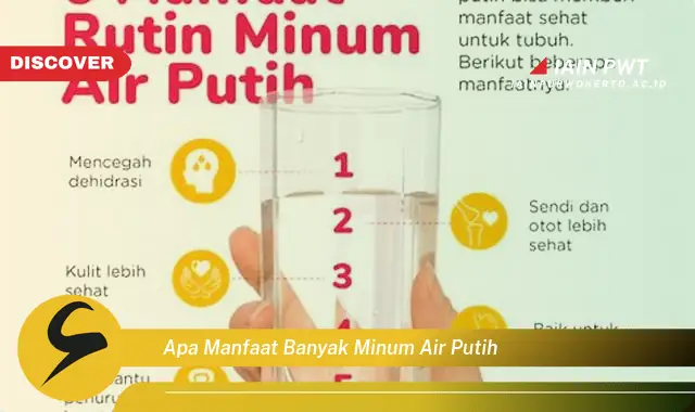 apa manfaat banyak minum air putih