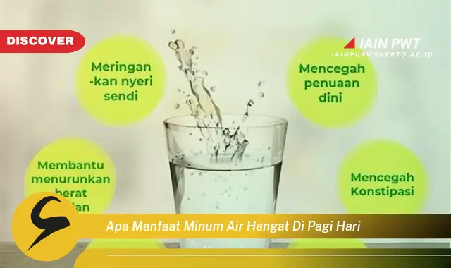 apa manfaat minum air hangat di pagi hari