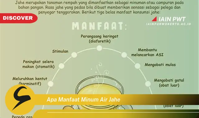 apa manfaat minum air jahe