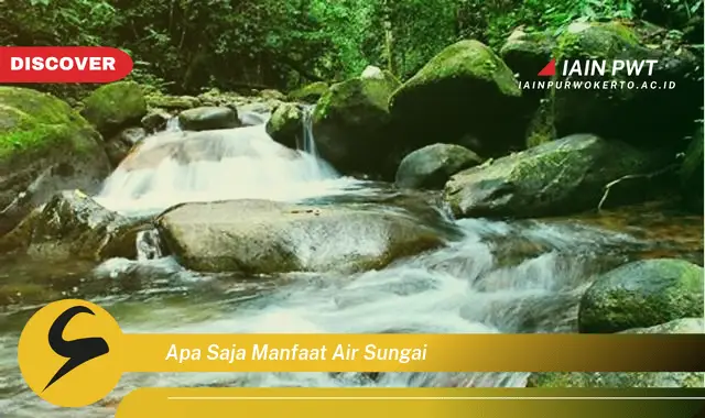 apa saja manfaat air sungai