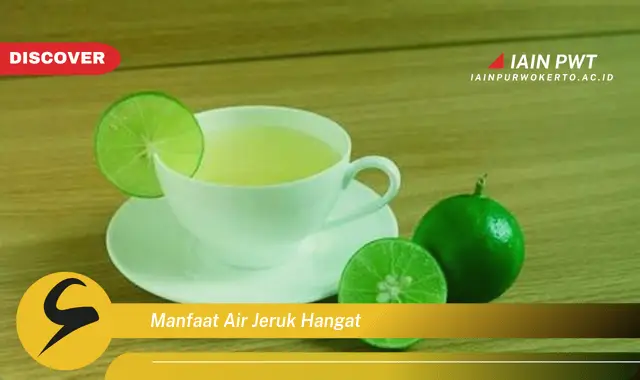 manfaat air jeruk hangat