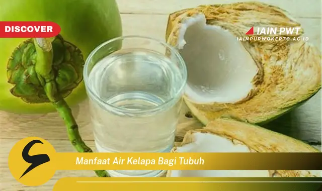 manfaat air kelapa bagi tubuh