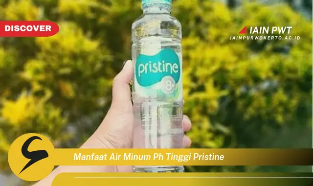 manfaat air minum ph tinggi pristine