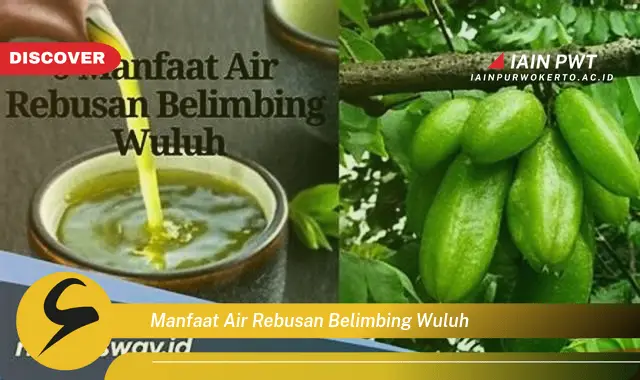 manfaat air rebusan belimbing wuluh