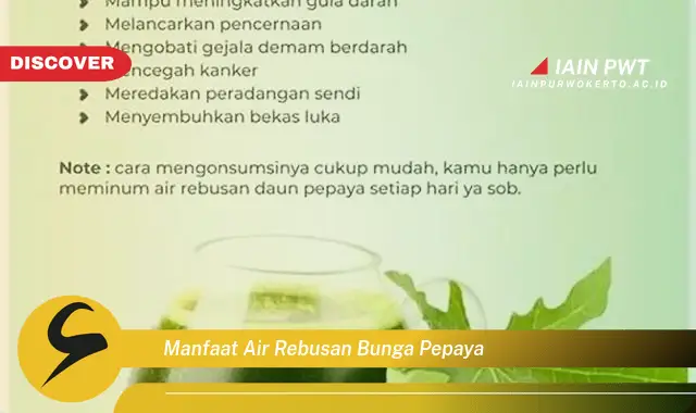 manfaat air rebusan bunga pepaya