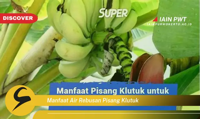 manfaat air rebusan pisang klutuk