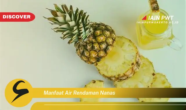 manfaat air rendaman nanas