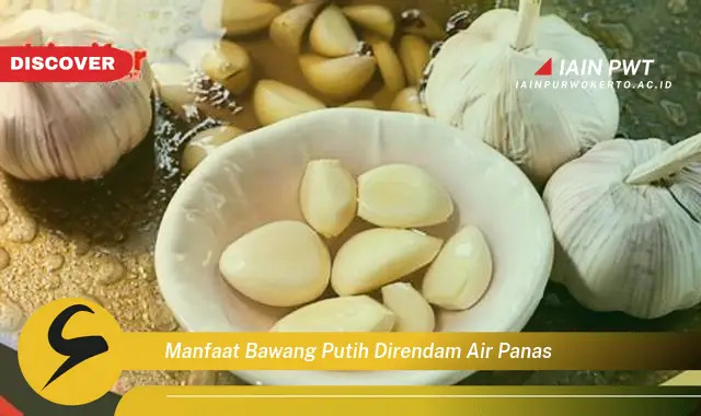 manfaat bawang putih direndam air panas