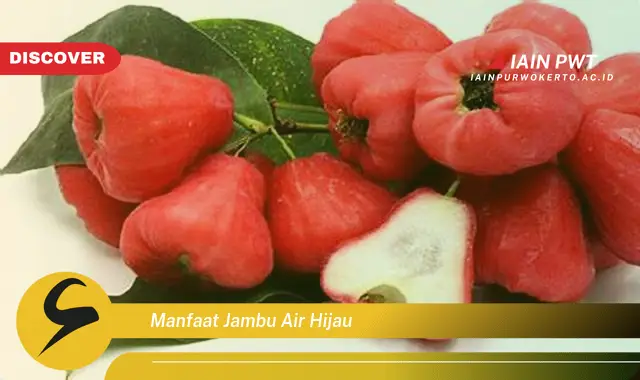 manfaat jambu air hijau