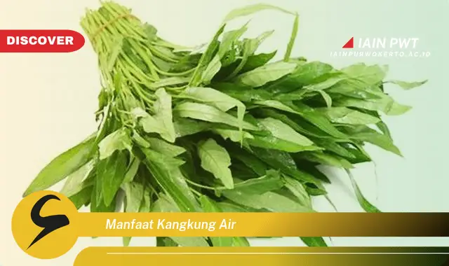 manfaat kangkung air