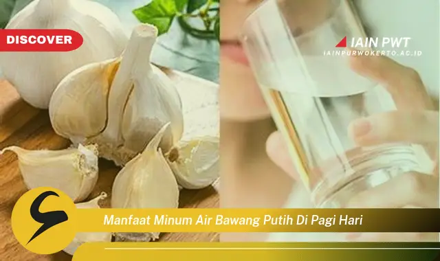 manfaat minum air bawang putih di pagi hari