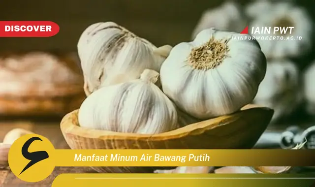 manfaat minum air bawang putih