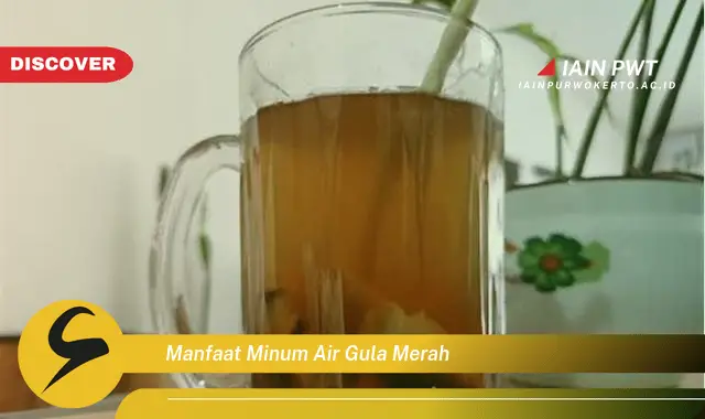 manfaat minum air gula merah