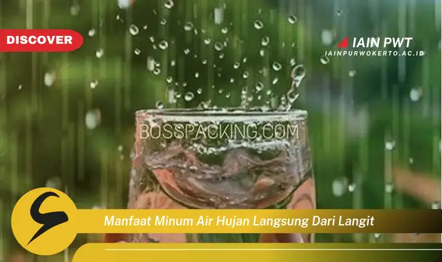 manfaat minum air hujan langsung dari langit