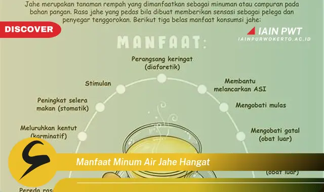 manfaat minum air jahe hangat