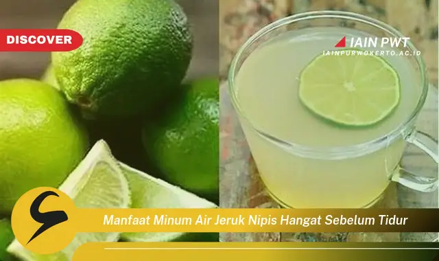 manfaat minum air jeruk nipis hangat sebelum tidur