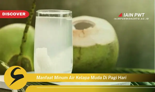 manfaat minum air kelapa muda di pagi hari