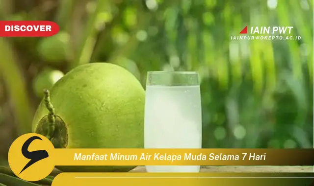 manfaat minum air kelapa muda selama 7 hari