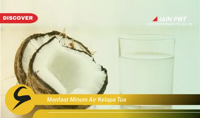 manfaat minum air kelapa tua