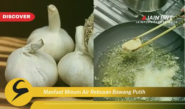 manfaat minum air rebusan bawang putih