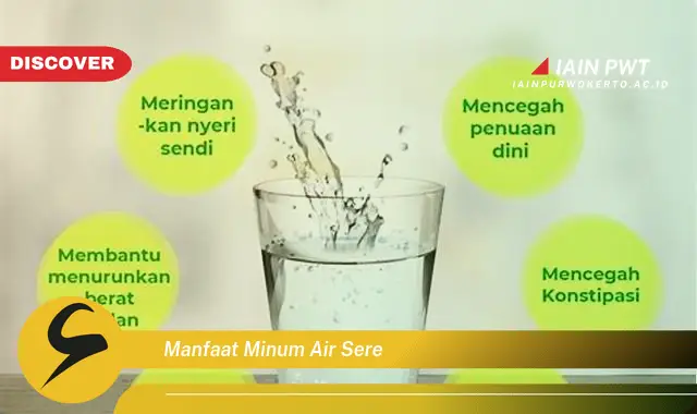 manfaat minum air sere