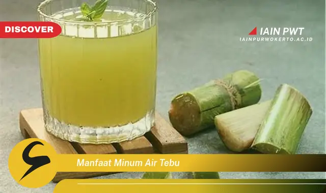 manfaat minum air tebu