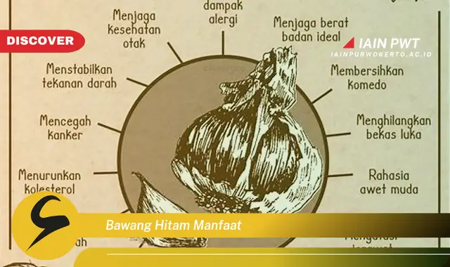 bawang hitam manfaat