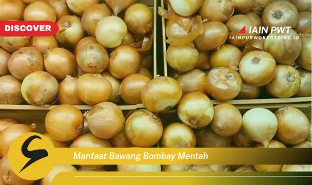 manfaat bawang bombay mentah