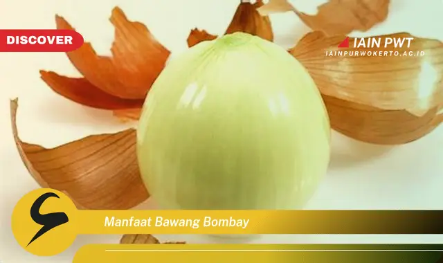 manfaat bawang bombay