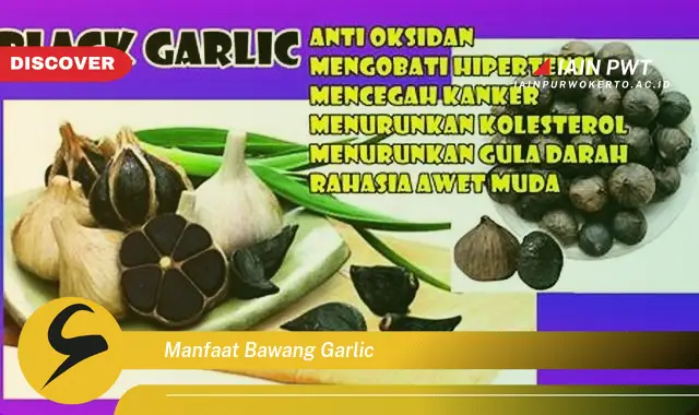 manfaat bawang garlic