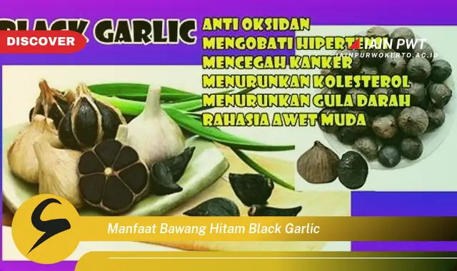 manfaat bawang hitam black garlic