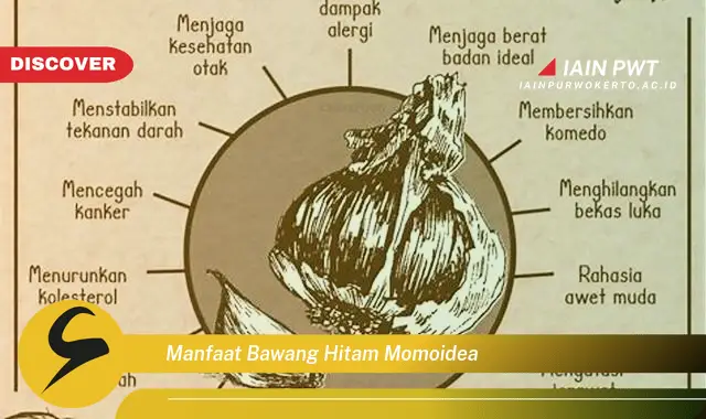 manfaat bawang hitam momoidea