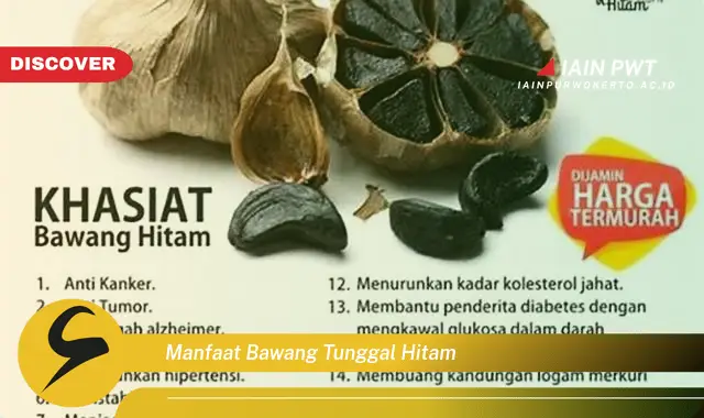 manfaat bawang tunggal hitam