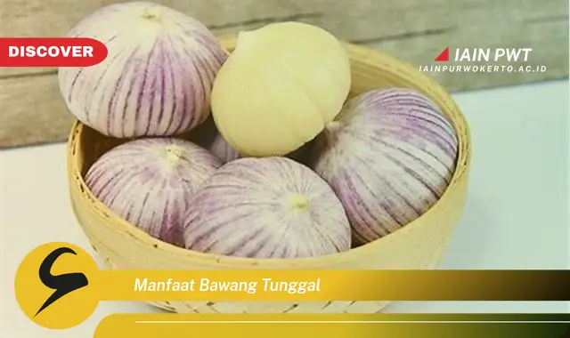 manfaat bawang tunggal